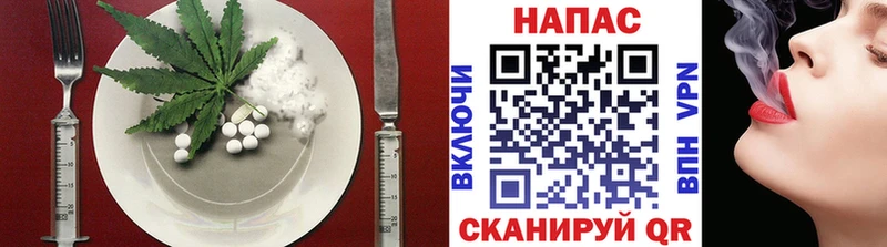 дарнет шоп  Ачхой-Мартан  Canna-Cookies марихуана 