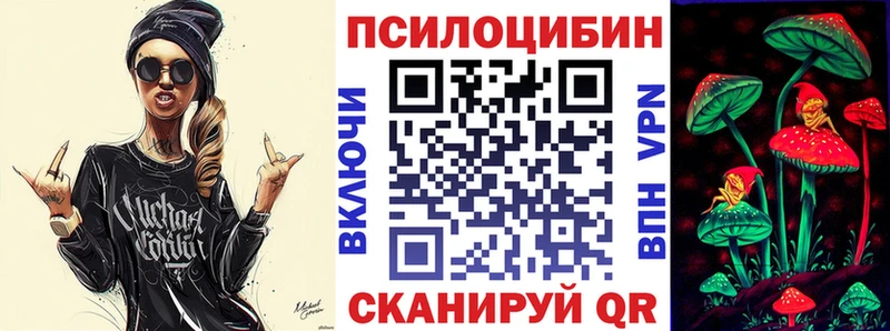 Псилоцибиновые грибы Psilocybine cubensis  Ачхой-Мартан 